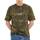 Textil Muži Košile s krátkými rukávy Vans CLASSIC EASY BOX Zelená