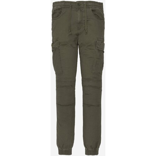 Textil Muži Teplákové kalhoty Schott TRRELAX70 Zelená