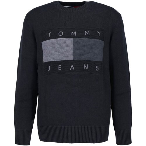 Textil Muži Svetry Tommy Jeans DM0DM17773 Černá
