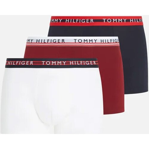 Spodní prádlo Muži Boxerky Tommy Hilfiger UM0UM03007           