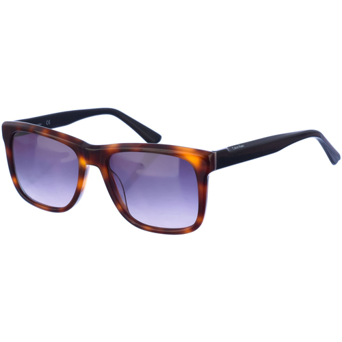 Hodinky & Bižuterie Muži sluneční brýle Calvin Klein Jeans CK22519S-236 Hnědá