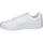 Boty Muži Multifunkční sportovní obuv Joma CPLAW2302 Bílá