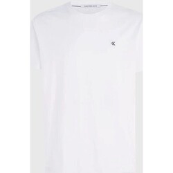 Textil Muži Trička s krátkým rukávem Calvin Klein Jeans J30J325268 Bílá