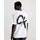 Textil Muži Trička s krátkým rukávem Calvin Klein Jeans J30J324652YAF Bílá