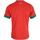 Textil Muži Trička s krátkým rukávem Puma Frmf Maroc Home Jersey Replic Červená