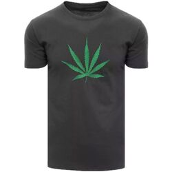 Textil Muži Trička s krátkým rukávem D Street Pánské tričko s potiskem Harper grafitová Šedá