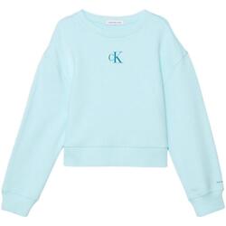 Textil Dívčí Mikiny Calvin Klein Jeans  Modrá