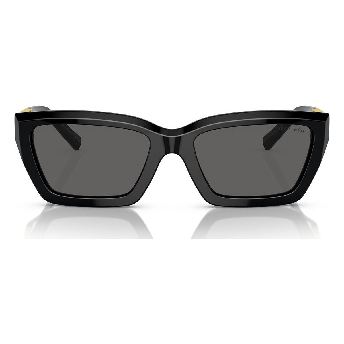 Hodinky & Bižuterie Ženy sluneční brýle Tiffany Occhiali da Sole  TF4213 8001S4 Černá