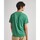 Textil Muži Trička s krátkým rukávem Pepe jeans PM509390 CLAUDE Zelená