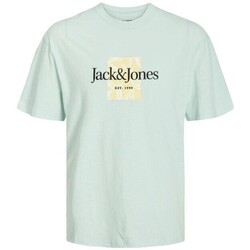 Textil Muži Trička s krátkým rukávem Jack & Jones 12250436 JORLAFAYETTE Zelená