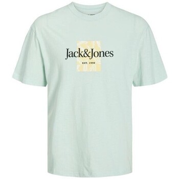 Textil Muži Trička s krátkým rukávem Jack & Jones 12250436 JORLAFAYETTE Zelená