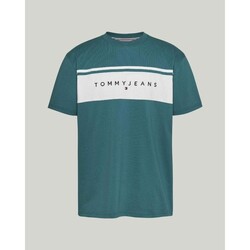 Textil Muži Trička s krátkým rukávem Tommy Hilfiger DM0DM18658CT0 Zelená