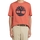 Textil Muži Trička s krátkým rukávem Timberland 227500 Oranžová