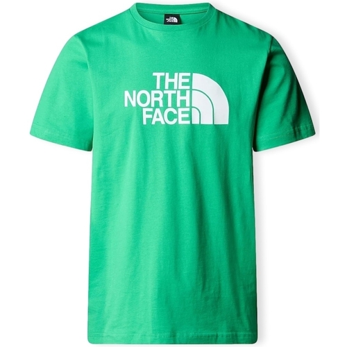 Textil Muži Trička & Pola The North Face Easy T-Shirt - Optic Emerald Zelená