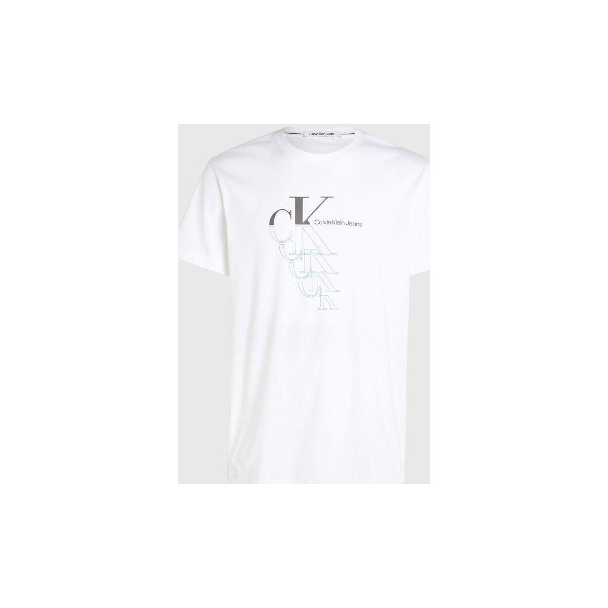 Textil Muži Trička s krátkým rukávem Calvin Klein Jeans J30J325352YAF Bílá