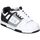 Boty Muži Multifunkční sportovní obuv DC Shoes 320188-HYB Bílá