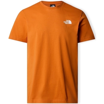 Textil Muži Trička & Pola The North Face Redbox Celebration T-Shirt - Desert Rust Oranžová