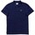 Textil Muži Polo s krátkými rukávy Tommy Jeans POLO HOMBRE REG BADGE   DM0DM18314 Modrá