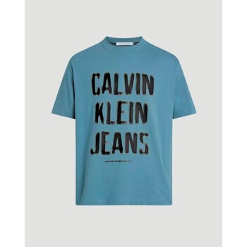 Textil Muži Trička s krátkým rukávem Calvin Klein Jeans J30J324648 Modrá