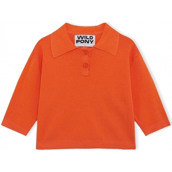Textil Ženy Svetry Wild Pony Knit 10604 - Orange Oranžová