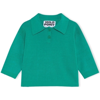 Textil Ženy Svetry Wild Pony Knit 10603 - Green Zelená