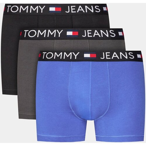 Spodní prádlo Muži Boxerky Tommy Jeans UM0UM03159           