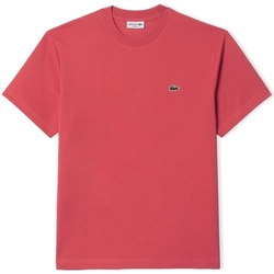 Textil Muži Trička & Pola Lacoste Classic Fit T-Shirt - Rose ZV9 Růžová