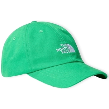 Textilní doplňky Muži Kšiltovky The North Face Norm Cap - Optic Emerald Zelená
