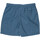 Textil Muži Plavky / Kraťasy Santa Cruz Classic dot Modrá