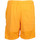 Textil Muži Kraťasy / Bermudy Nike M Jordan Flt Mvp Mesh Short F2 Oranžová