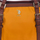 Taška Ženy Malé kabelky U.S Polo Assn. BEUHU5642WIP-YELLOWTAN Žlutá