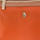 Taška Ženy Tašky přes rameno U.S Polo Assn. BIUHU4920WIP-ORANGE Oranžová