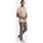 Textil Muži Trička s krátkým rukávem Ombre Pánské tričko s krátkým rukávem Douma šedá Béžová