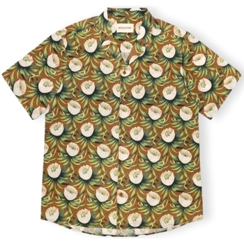 Textil Muži Košile s dlouhymi rukávy Revolution Shirt 3912 - Brown Hnědá