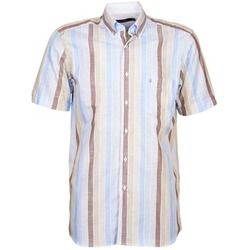 Textil Muži Košile s krátkými rukávy Pierre Cardin 539936240-130 Modrá / Béžová / Hnědá