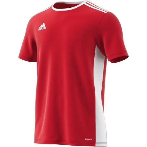Textil Muži Trička s krátkým rukávem adidas Originals Entrada 18 Červené, Bílé