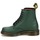 Boty Kotníkové boty Dr. Martens 1460 Zelená