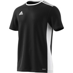 Textil Muži Trička s krátkým rukávem adidas Originals Entrada 18 Černé, Bílé