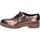 Boty Ženy Šněrovací polobotky  & Šněrovací společenská obuv Liu Jo BY591 Other