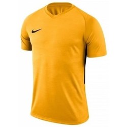 Textil Muži Trička s krátkým rukávem Nike Dry Tiempo Premier Žlutá