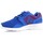 Boty Muži Nízké tenisky Nike Mens  Kaishi Print 705450-446 Modrá